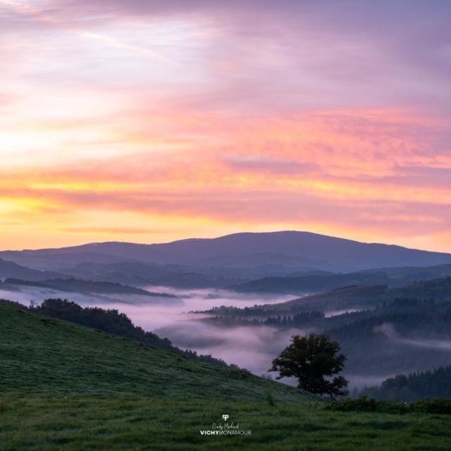 شقة Studio En Auvergne Le Ruisseau Saint-Priest-Bramefant المظهر الخارجي الصورة