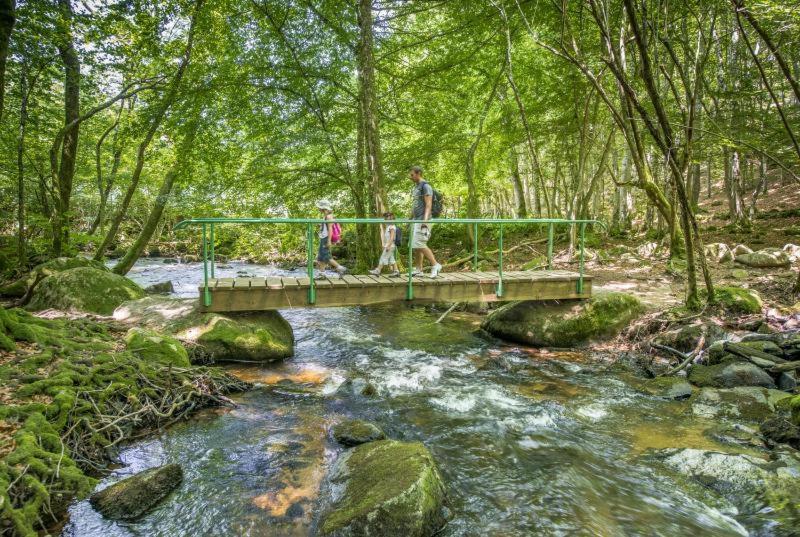 شقة Studio En Auvergne Le Ruisseau Saint-Priest-Bramefant المظهر الخارجي الصورة