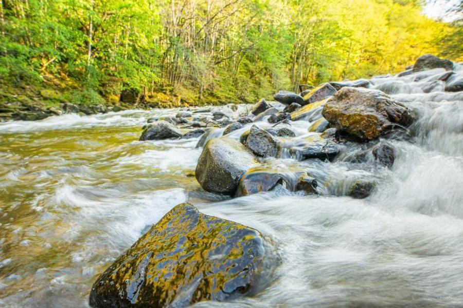 شقة Studio En Auvergne Le Ruisseau Saint-Priest-Bramefant المظهر الخارجي الصورة